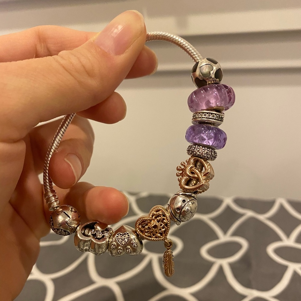 Pandora Bracelet with 10 Charms